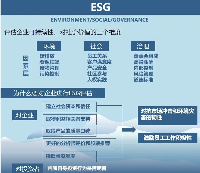 双碳战略咨询服务(双碳战略是什么意思)青岛市
