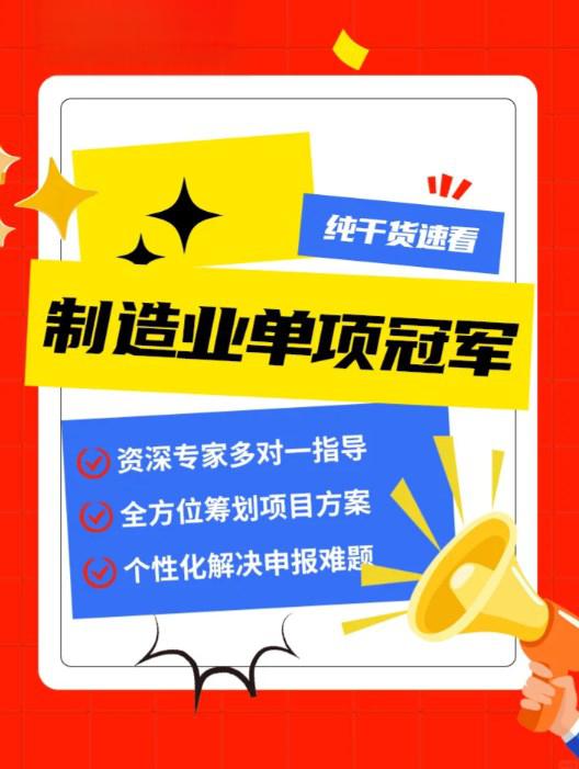 单项冠军申报辅导(单项冠军是什么意思)青岛市