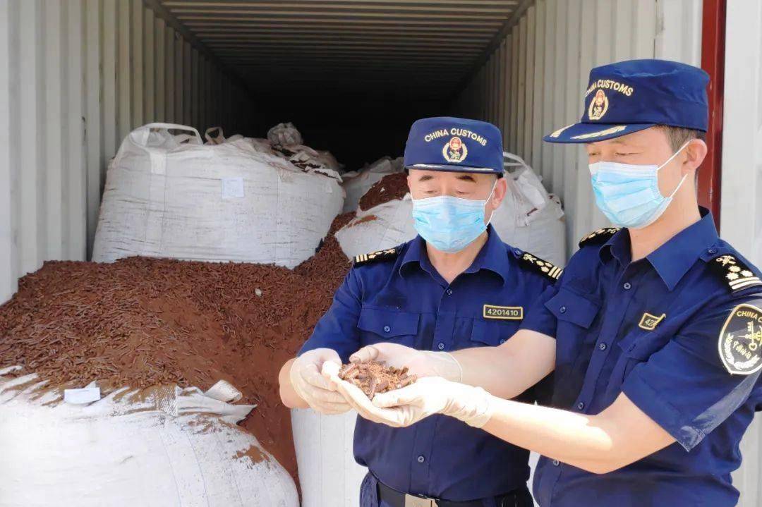 出口管制应对咨询(出口管制的具体措施)青岛市